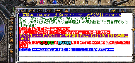 ��ʾGame0fMir E�ܷ��Ҳ�����سɹ�